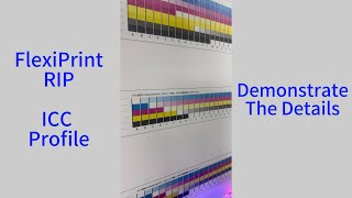 Creating ICC Profile by FlexiPrint RIP Software  DXonJet Wall Printer [upl. by Charry840]