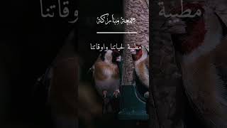 Quran ayat in relaxing voice jummamubaraksurahkufhjummahstatusquranpaktilawatmuhammadﷺdeen [upl. by Anikahs]