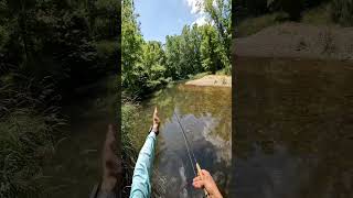 Tips on dry fly fishing [upl. by Bindman841]