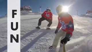 Sled Dogs Snowskates  New sport on the slopes [upl. by Yanal]