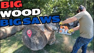 Big Wood Requires Big Stihl Saws [upl. by Anohs]