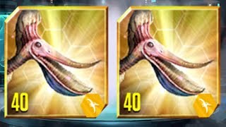 PTERODAUSTRO MAX LEVEL 40  Jurassic World The Game [upl. by Clari]