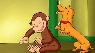 Curioso Come George 🐵 Giochi di apprendimento 🐵Cartoni per Bambini [upl. by Lyons]