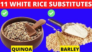 11 Healthy Substitutes of White Rice  Top Alternative for Rice for Weight Loss Transformation [upl. by Baumbaugh618]