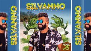 SILVANNO SALLES VOL 25  2020 CD Completo [upl. by Siberson]