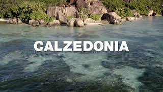 madamefigarocy  Calzedonia swimwear amp beachwear [upl. by Okeim390]