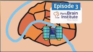 A quotNeurotour de Francequot  Ep 3 ICM  Paris Brain Institute [upl. by Hilel781]