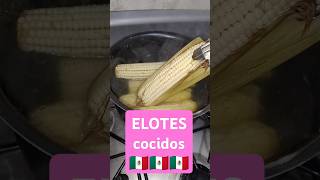 ELOTES cocidos elotes choclo elote esquites maggieany [upl. by Aleron]