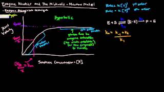 Enzymes Part 2 of 5  Enzyme Kinetics and The Michaelis Menten Model [upl. by Haerr]