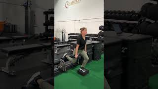 Dumbbell Rear Foot Elevated RFE Split Squat from Deficit [upl. by Yalahs232]