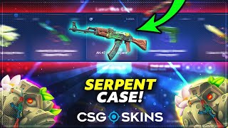 I BRAKE CASE BATTLE RECORD Csgoskins Promo Code 2024 [upl. by Akinahc]