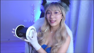 ASMR Ear Cleaning No Talking  RAINIE ASMR [upl. by Vaasta]