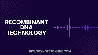 Recombinant DNA The Future of Genetic Engineering [upl. by Aniretak]