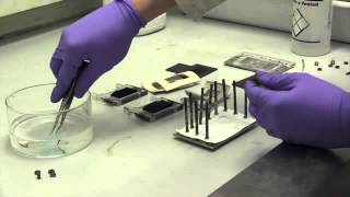 Making a vanadium redox flow batteryipad [upl. by Karole687]