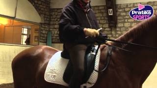 Equitation  Comment bien utiliser une cravache de dressage [upl. by Mountford592]