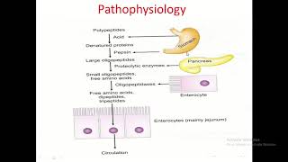 Lecture on Malabsorption Syndrome [upl. by Fredi802]