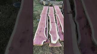 Red Aeromatic red Cedar slabs cut on homemade sawmill  larrysbrusch homemadesawmill woodmill [upl. by Osi301]