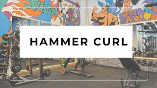 HAMMER CURL [upl. by Lejna813]