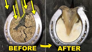 Horse Hoof Deep Clean  Satisfying Restoration  Farrier ASMR [upl. by Pudens]