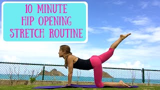 10 Minute Hip Opening Stretches  Yoga and Pilates Workout [upl. by Dlanger]