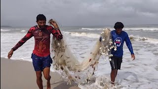 CARDUMES DE SARDINHAS NAS PRAIAS DE RAPOSA MA PESCARIA E PREPARO NA BEIRA MAR [upl. by Lethia32]