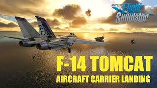 MSFS F14 Tomcat Aircraft carrier Take off and landing [upl. by Ansel]