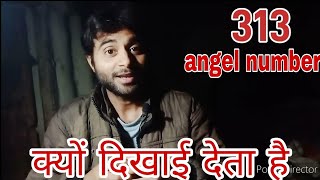 313 angel number meaning in hindi [upl. by Evonne56]