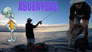 Epic Afternoon Squid Fishing in Dunsborough [upl. by Ogdan]