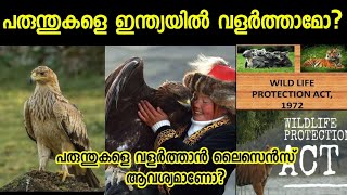 ഇന്ത്യയിൽ പരുന്തുകളെ വളർത്താമോCan we pet an eagle in India SVSennumeppozhumevideyum [upl. by Aimil]