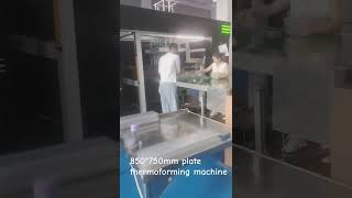 850750mm plate thermoforming machine [upl. by Lladnarc33]