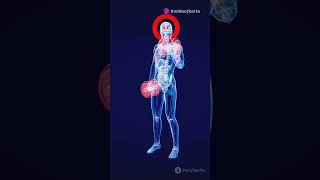 Steroids Corticosteroids AnabolicSteroids MedicalUses Inflammation MuscleGrowth HealthAwarene [upl. by Merola]