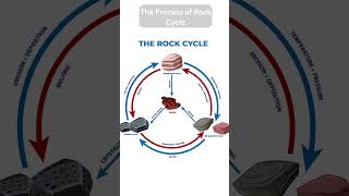 Rock cycle  inside our earth  geography  viral  UPSC  Earth  rock system  shorts [upl. by Nennek]