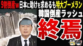 【自業自得ｗ】韓国の経済崩壊確定！？国民大発狂で日本に助けを求めるが… [upl. by Glasgo]