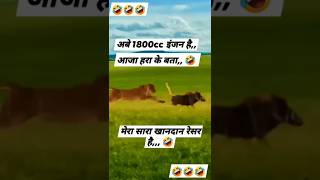 😂🤣shortvideo 😱surajkingprajapati7465 funny😂😁 love [upl. by Rojam]