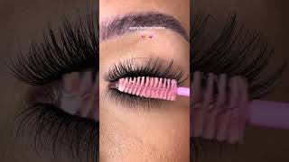 apply bottom lashes with me [upl. by Ahsilram]