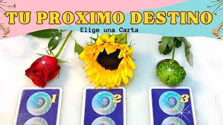 ¿Hacía Donde Va Tu Vida  Elige una Carta ✨ Tarot Interactivo [upl. by Marilin117]