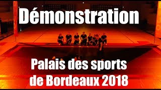 Démonstration Palais des sports de Bordeaux 2018  David CHEYROUX [upl. by Seys]