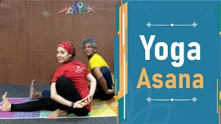 Yoga Asanas  Unique Yoga Asana Session [upl. by Belen130]