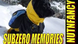 quotSubZero Memoriesquot by Nutnfancy Snowshoeing Hike [upl. by Mchale]