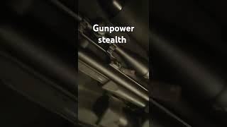 GUNPOWER STEALTH air rifle [upl. by Rap924]