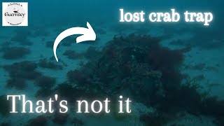 Looking for a lost crab pot and collecting scallops scuba fishing lost 4k [upl. by Eirallih]