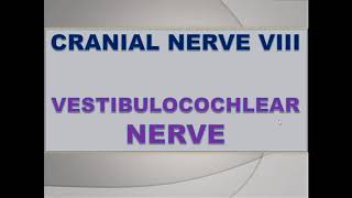 Vestibulocochlear Nerve  neuroanatomy  CN VIII lectures on cranial nerve [upl. by Penland]