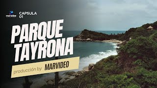 Parque Tayrona 2024 [upl. by Kosse]