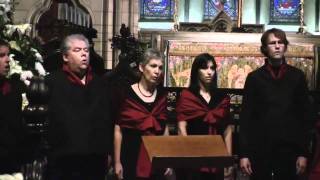 Missa Brevis 4 quotVirtualquot Choir Combination Performance [upl. by Edla631]