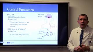 Latest Treatment Options for Pituitary Tumors Marvin Bergsneider MD  UCLAMDChat [upl. by Yenitirb834]