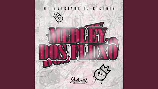 Medley dos Fluxo [upl. by Artap]