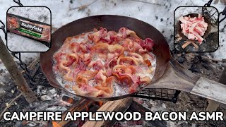 Solo Overnight Campfire Bacon ASMR in the Snow [upl. by Anelim]