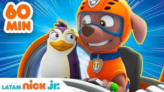 Paw Patrol  ¡1 HORA de grandes rescates animales  Nick Jr en Español [upl. by Dlorej582]