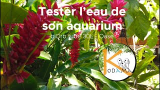 Tester leau de son aquarium [upl. by Anavas]