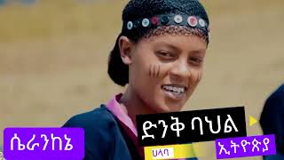 New Halaba Cultural Music ሴራንከኔ ን ሀላብ ጭምት ህዳር 2017 [upl. by Pauly]